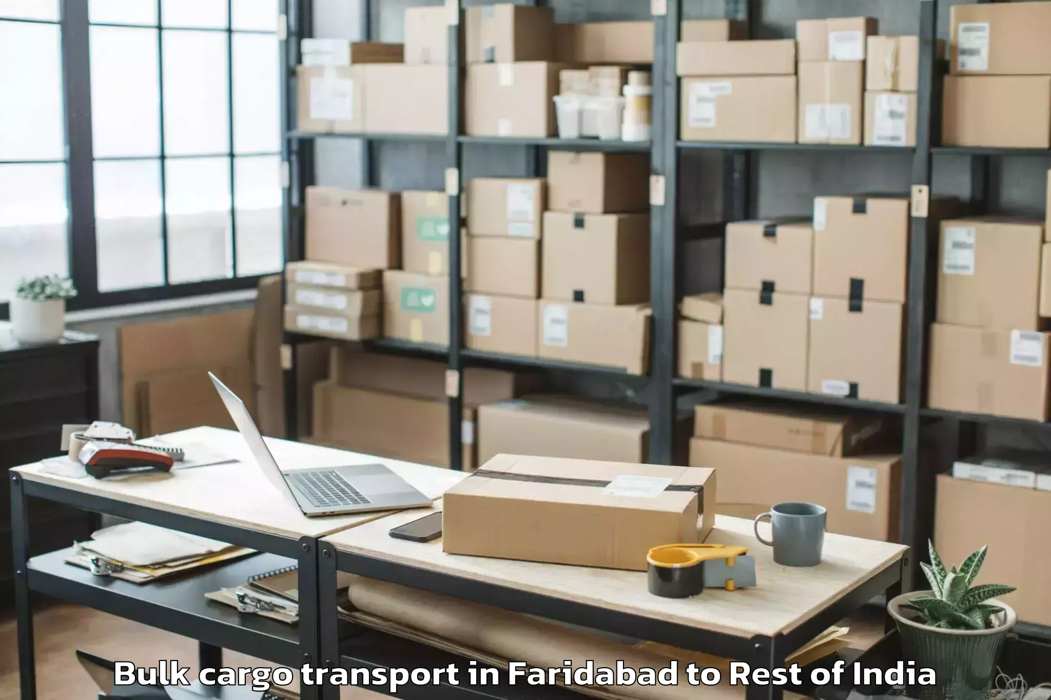 Book Faridabad to Srinagar Airport Sxr Bulk Cargo Transport Online